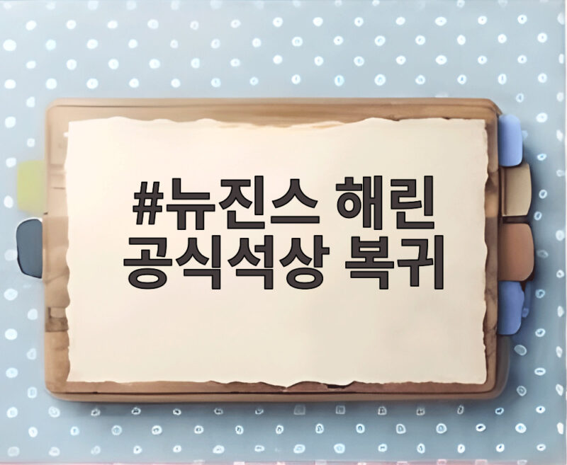 뉴진스 해린 공식석상 복귀 1년 6개월 만에 등장한 4000만원대 스타일 1 뉴진스 해린 공식석상 복귀