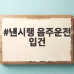 낸시랭 음주운전 입건, 새벽 강남에서 적발된 충격적인 사건 낸시랭 음주운전 입건