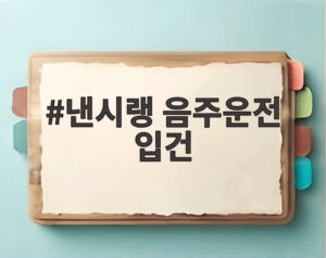 낸시랭 음주운전 입건