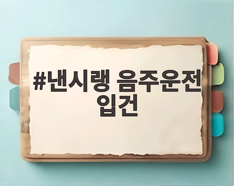 낸시랭 음주운전 입건, 새벽 강남에서 적발된 충격적인 사건 1 낸시랭 음주운전 입건