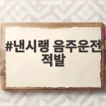 낸시랭 음주운전 적발 소식 강남 한밤중 만취 운전 혐의 입건 낸시랭 음주운전 적발