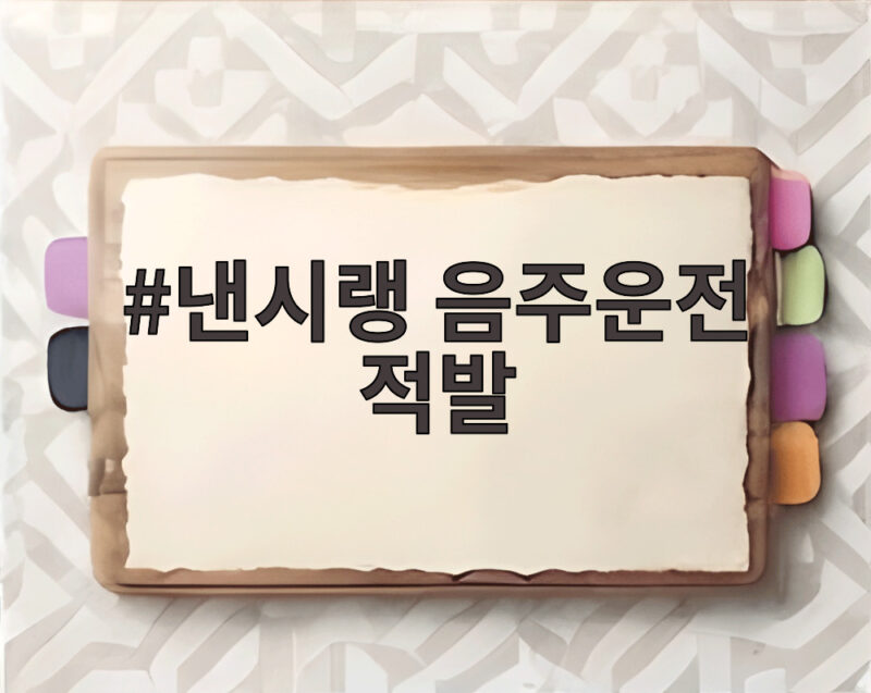 낸시랭 음주운전 적발 소식 강남 한밤중 만취 운전 혐의 입건 1 낸시랭 음주운전 적발