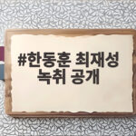 한동훈 최재성 녹취 공개, 민주당 오빠들의 우연한 만남 뒤 진실 한동훈 최재성 녹취 공개
