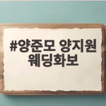 양준모 양지원 웨딩화보 임신 겹경사 결혼식 후 달콤한 신혼의 순간 양준모 양지원 웨딩화보