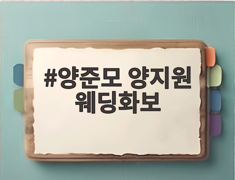 양준모 양지원 웨딩화보 임신 겹경사 결혼식 후 달콤한 신혼의 순간 1 양준모 양지원 웨딩화보