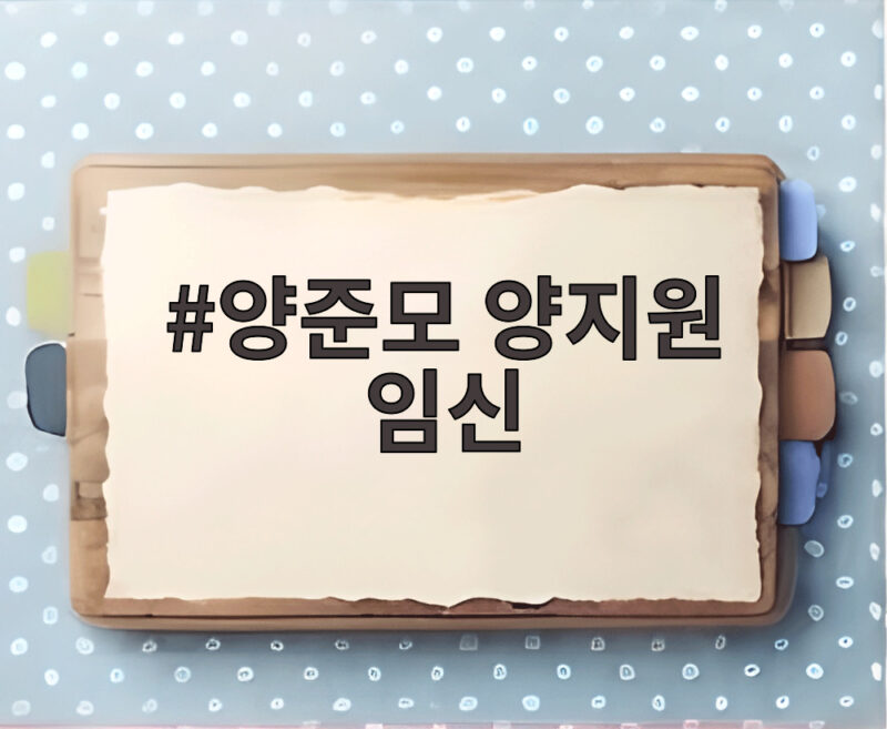 양준모 양지원 임신 소식과 웨딩화보 달콤한 신혼 이야기 1 양준모 양지원 임신