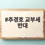 추경호 교부세 반대