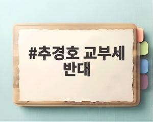 추경호 교부세 반대