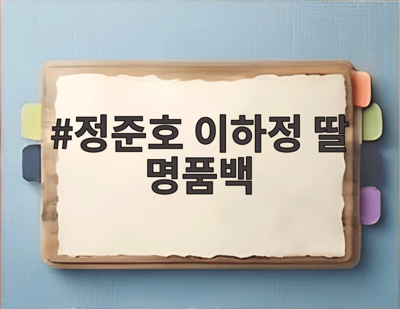 정준호 이하정 딸 명품백 300만원대 한정판에 모두가 깜짝 1 정준호 이하정 딸 명품백
