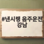 낸시랭 음주운전 강남 새벽 적발 면허 취소 수준 충격적 낸시랭 음주운전 강남