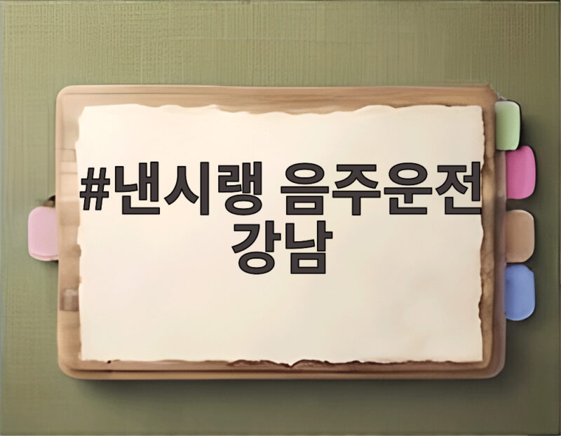 낸시랭 음주운전 강남 새벽 적발 면허 취소 수준 충격적 1 낸시랭 음주운전 강남