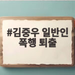 김중우 일반인 폭행 퇴출 생방송 중 기절시킨 사건 전말과 ZFN의 결정 김중우 일반인 폭행 퇴출