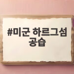 미군 하르그섬 공습