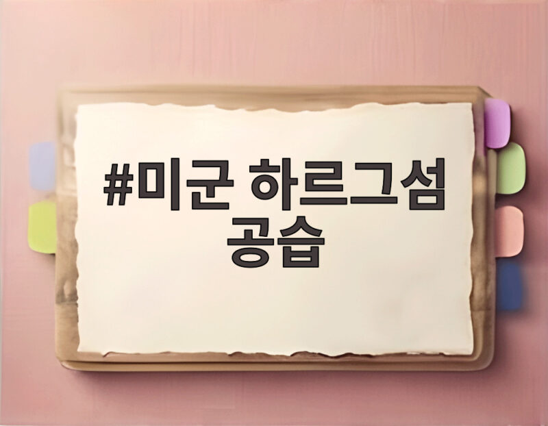 미군 하르그섬 공습