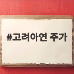 고려아연 주가 오늘 임시주총 감사위원 선임 표대결 관전 포인트 고려아연 주가