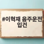 이혁재 음주운전 입건