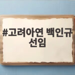 고려아연 백인규 선임 합산 3퍼센트 룰이 승부를 갈랐다 고려아연 백인규 선임