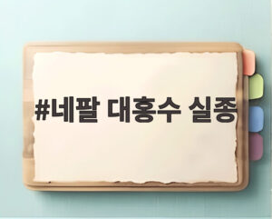 네팔 대홍수 실종