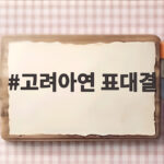 고려아연 표대결 최윤범 측 승리 이사회 주도권 유지 향후 일정은 고려아연 표대결