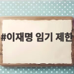 이재명 임기 제한