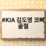 KIA 김도영 코뼈 골절