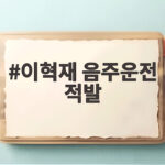 이혁재 음주운전 적발