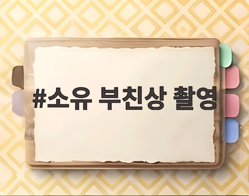 소유 부친상 촬영