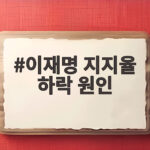 이재명 지지율 하락 원인 부동산과 지역 박탈감 어디에 무게를 둬야 하나 이재명 지지율 하락 원인