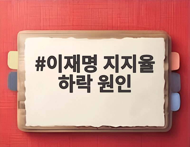 이재명 지지율 하락 원인