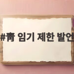 청와대 임기 제한 발언 연임 불가능한 사안이라고 해석한 이유 靑 임기 제한 발언