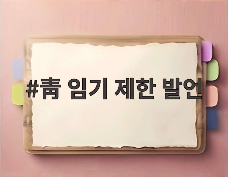 靑 임기 제한 발언