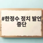 한정수 정치 발언 중단