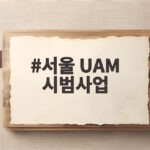 서울 UAM 시범사업 대상지 선정 공공의료와 한강 관광 이렇게 바뀐다 서울 UAM 시범사업