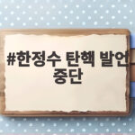 한정수 탄핵 발언 중단 선언, 그가 선택한 제자리로의 행보 한정수 탄핵 발언 중단