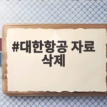 대한항공 자료 삭제
