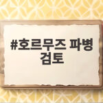 호르무즈 파병 검토, 전쟁 참여인가 동맹의 의무인가 그 해답을 찾아서 호르무즈 파병 검토