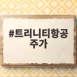 트리니티항공 주가 락업해제 물량 쏟아지기 전 항공주 동반 상승 흐름 트리니티항공 주가