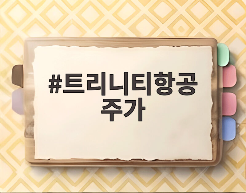 트리니티항공 주가 락업해제 물량 쏟아지기 전 항공주 동반 상승 흐름 1 트리니티항공 주가