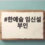 한예슬 임신설 부인 육아툰 공유에 담긴 진짜 의미와 반응 한예슬 임신설 부인