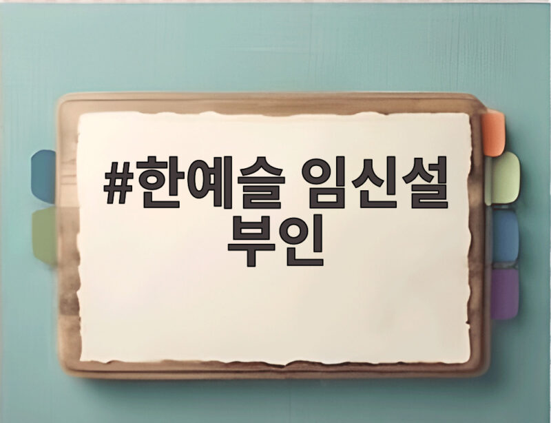 한예슬 임신설 부인 육아툰 공유에 담긴 진짜 의미와 반응 1 한예슬 임신설 부인