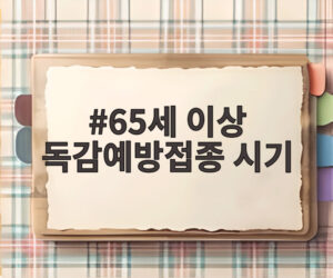 65세 이상 독감예방접종 시기