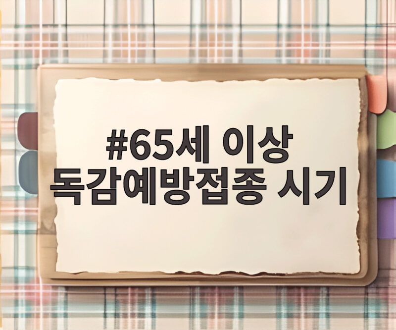 65세 이상 독감예방접종 시기
