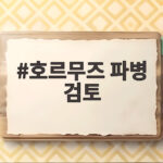 호르무즈 파병 검토