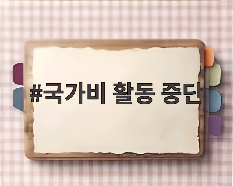 국가비 활동 중단 3개월 만에 의미심장한 글 올라와 궁금증 1 국가비 활동 중단