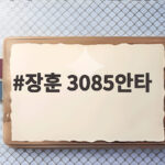 장훈 3085안타 일본 야구 역사에 남은 큰 별이 지다 장훈 3085안타