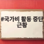 국가비 활동 중단 근황 3개월 만에 전한 뜻밖의 소식 확인 국가비 활동 중단 근황