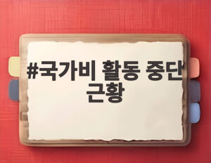 국가비 활동 중단 근황