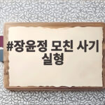 장윤정 모친 사기 실형 3100만원 사기 수법과 재판 결과 살펴보기 장윤정 모친 사기 실형