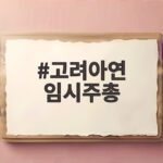 고려아연 임시주총