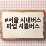 서울 시내버스 파업 셔틀버스 투입 시민 불편 줄일까 서울 시내버스 파업 셔틀버스